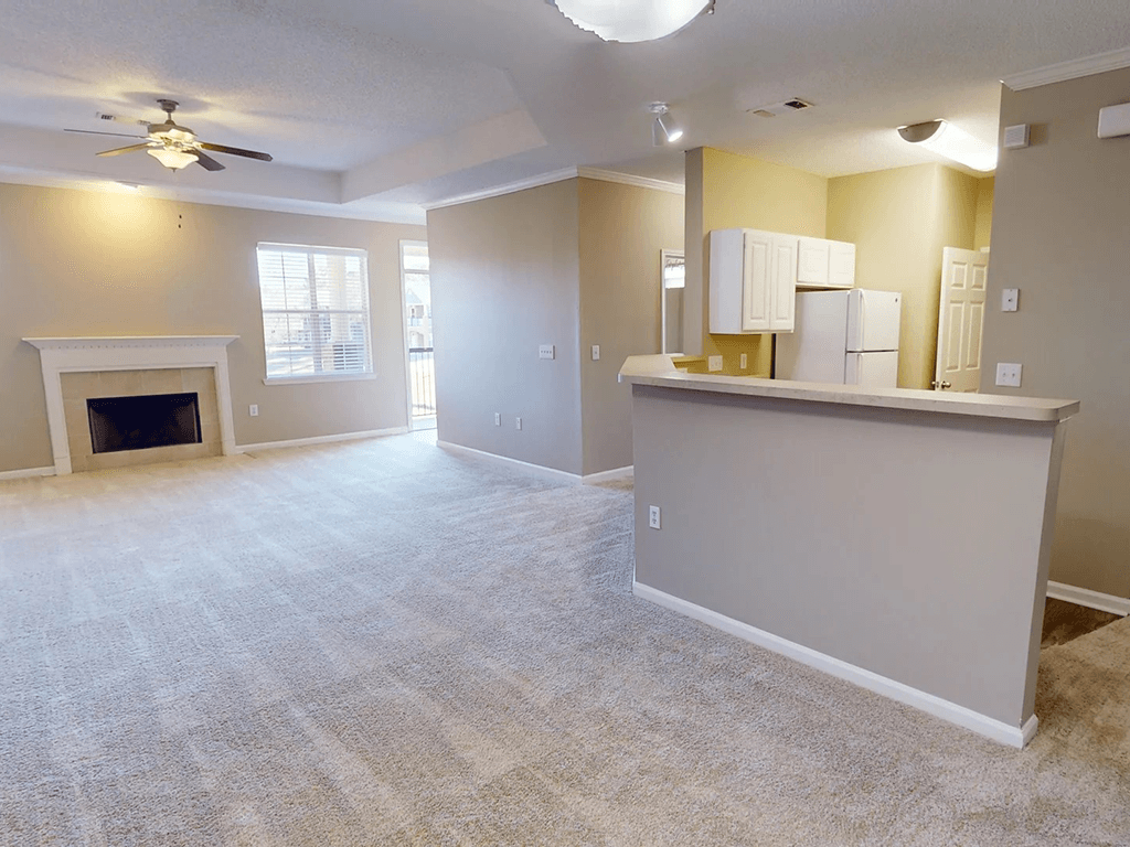 apartment living room with carpeting