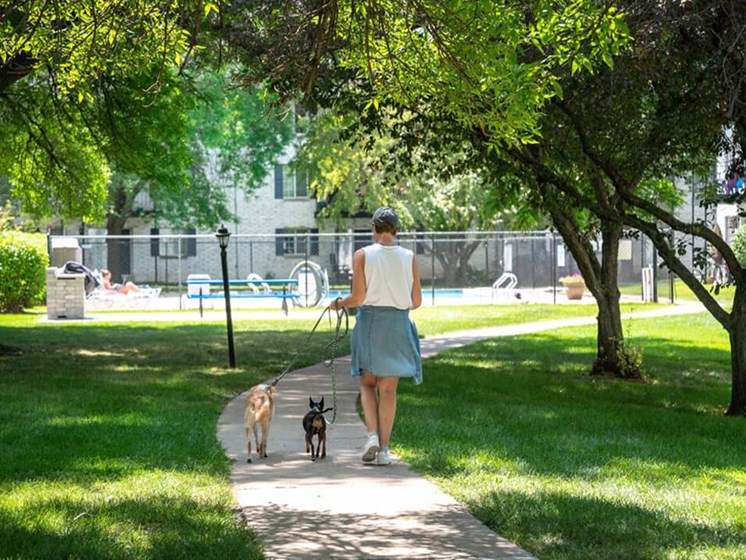 pet friendly apartments in Madison WI