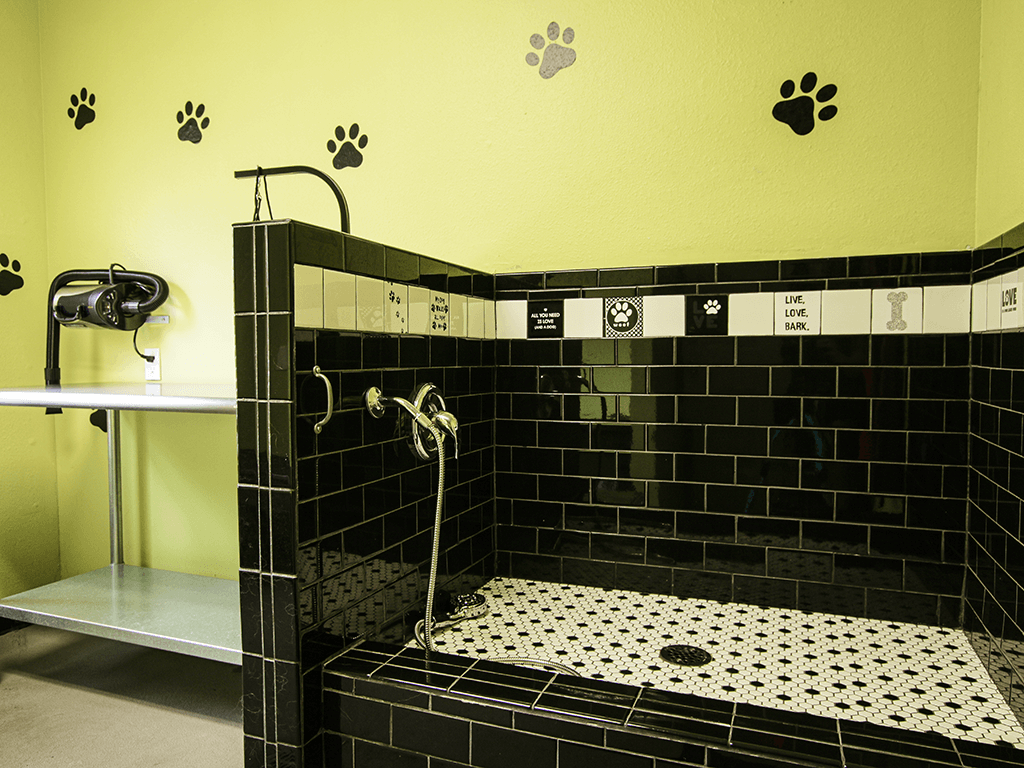 dog wash shower at apartment community