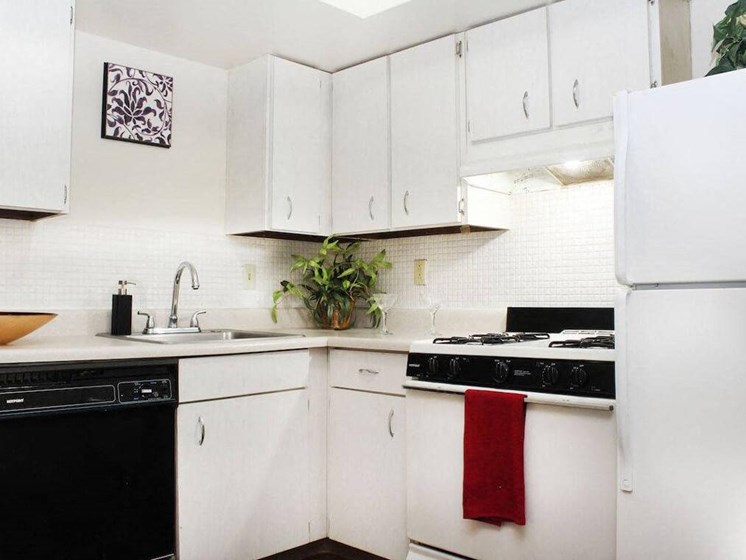 Modern Kitchen in apartment