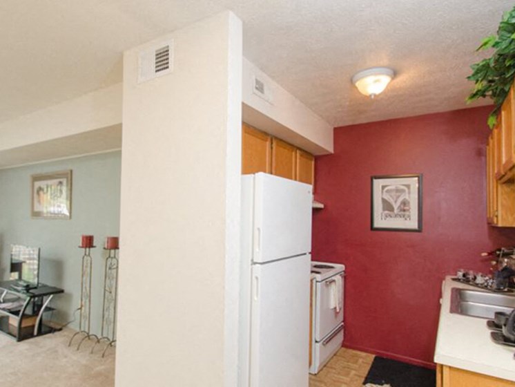 Apartment Kitchen with appliance