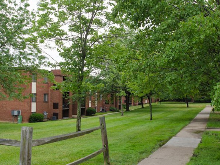 shade trees at apartment community