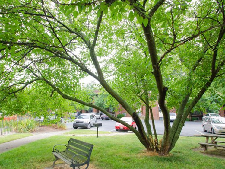 picnic area at Florence apartments