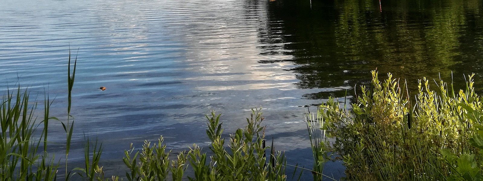 Login to Glenbrook Apartments to track your account Glenbrook Apartments