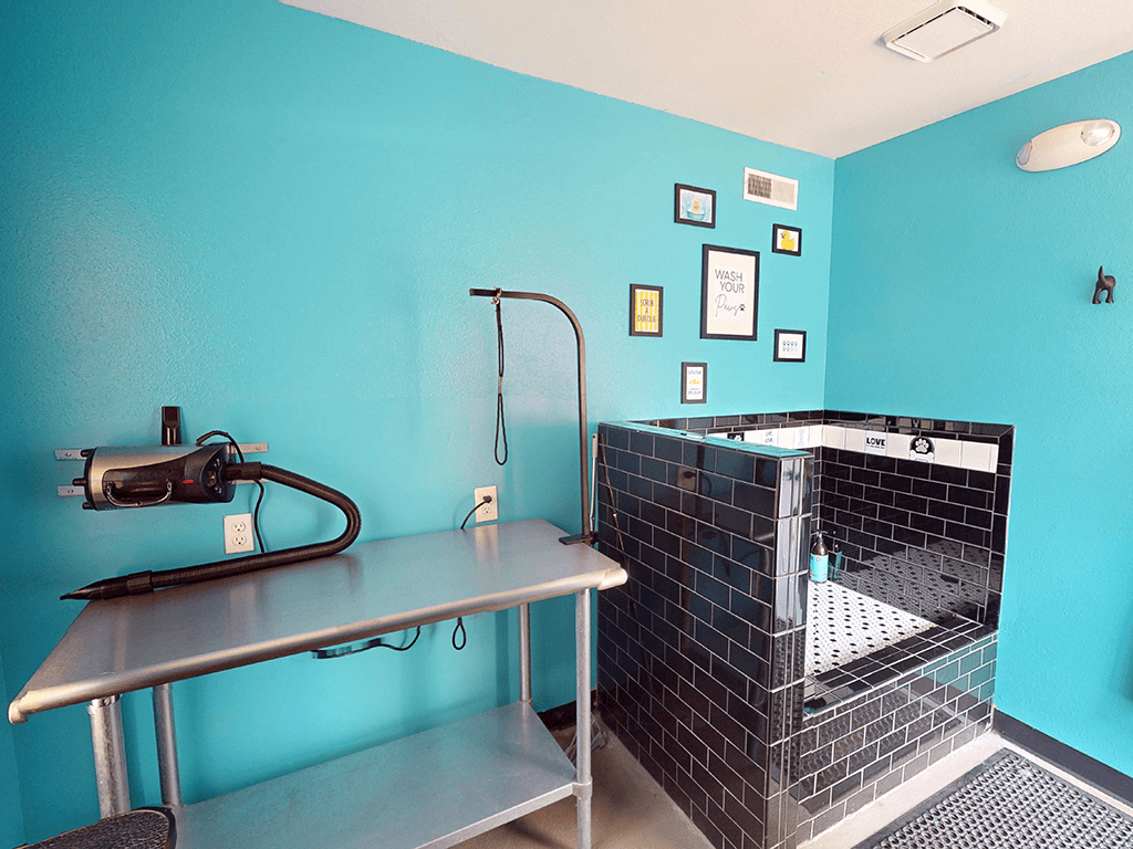 A blue tiled dog wash station.