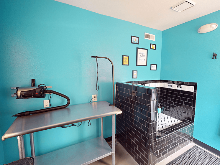 A blue tiled dog wash station.