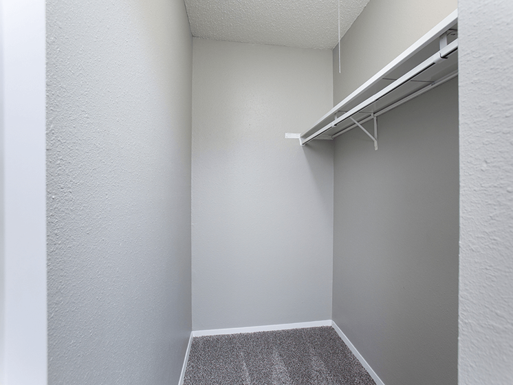 apartment with walk-in closet