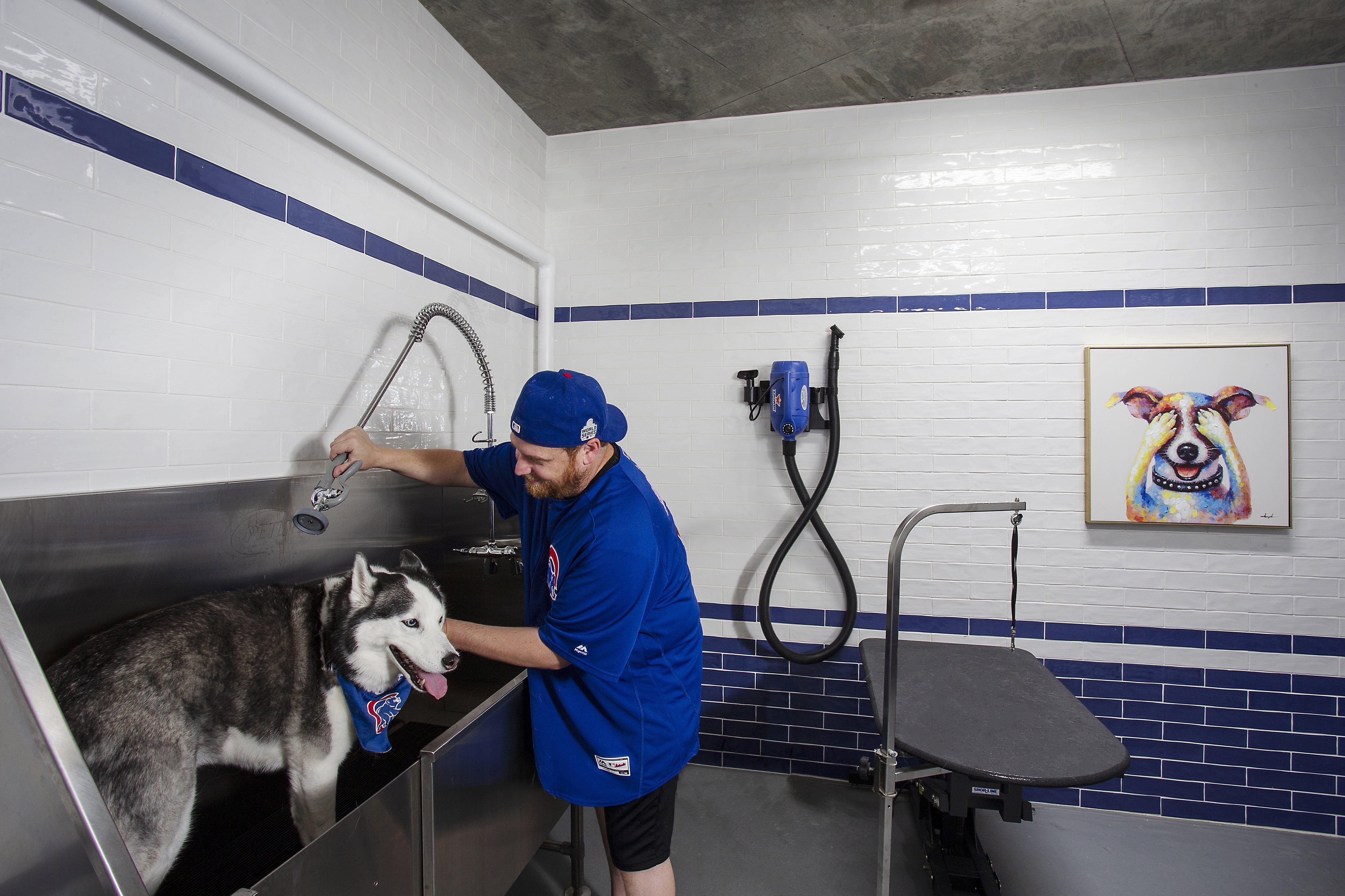 On Site Pet Spa Residences at Addison and Clark