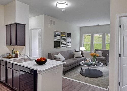 a living room with a kitchen and a couch