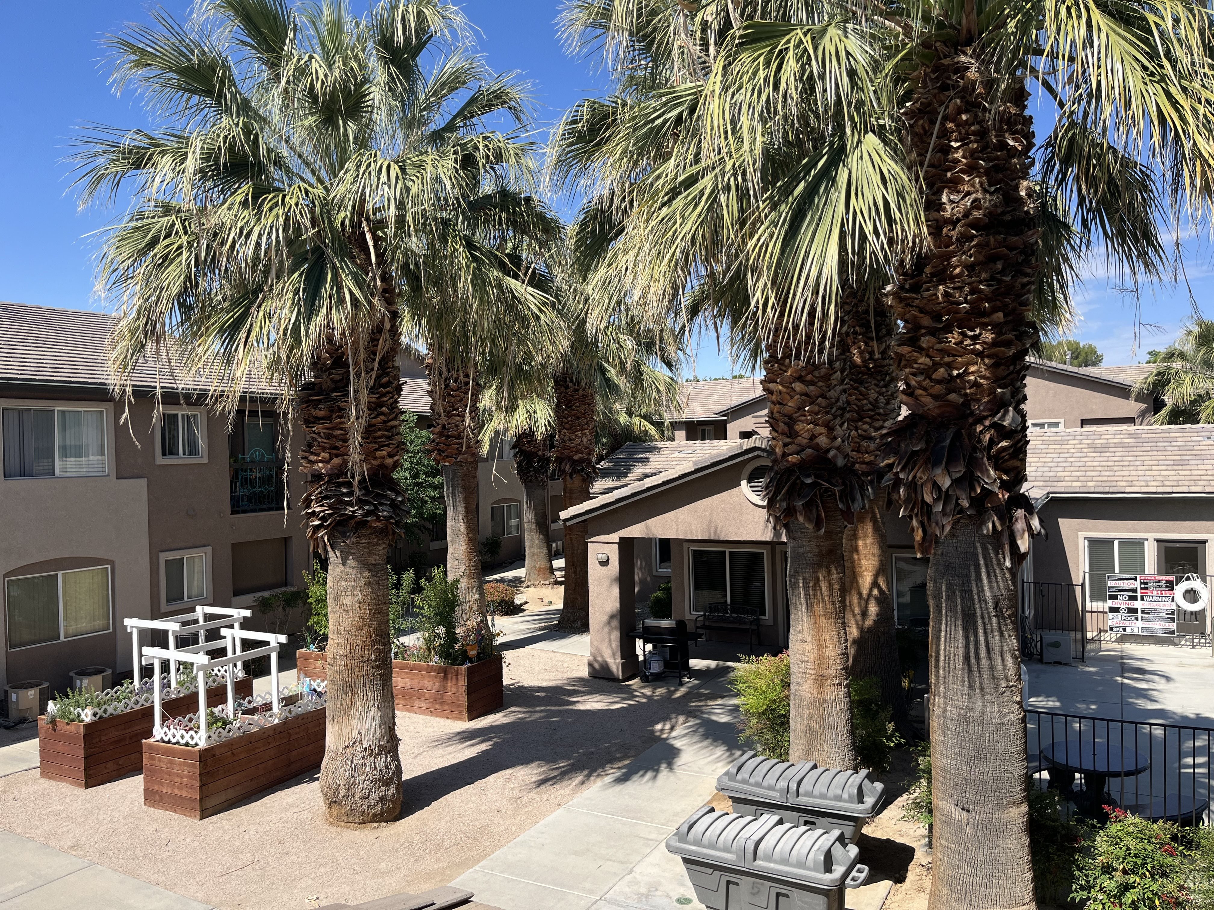 a courtyard with palm trees in front of a building