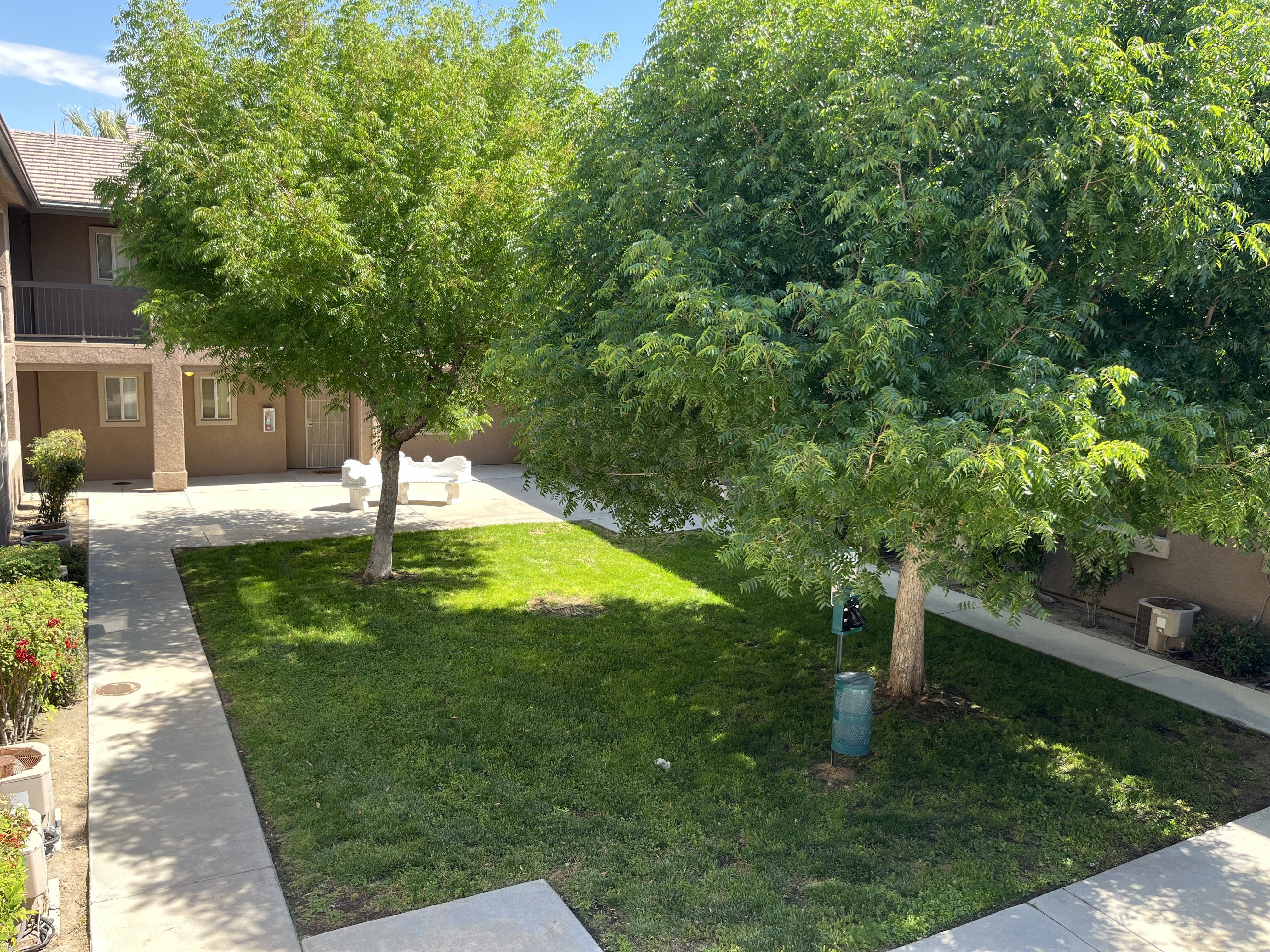 a yard with two trees and a sidewalk in front of a building