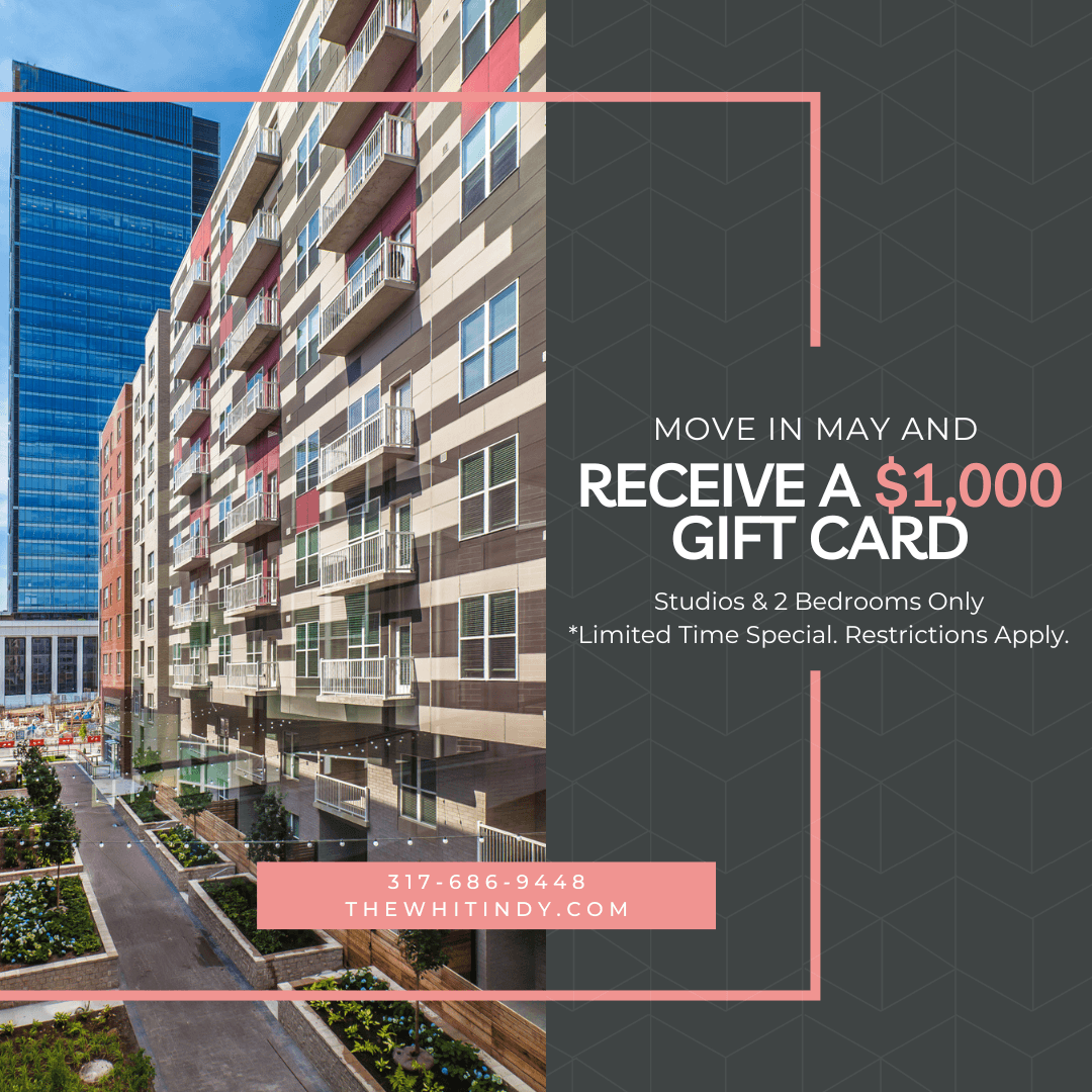 Luxury Apartments in Downtown Indianapolis The Whit Apartments