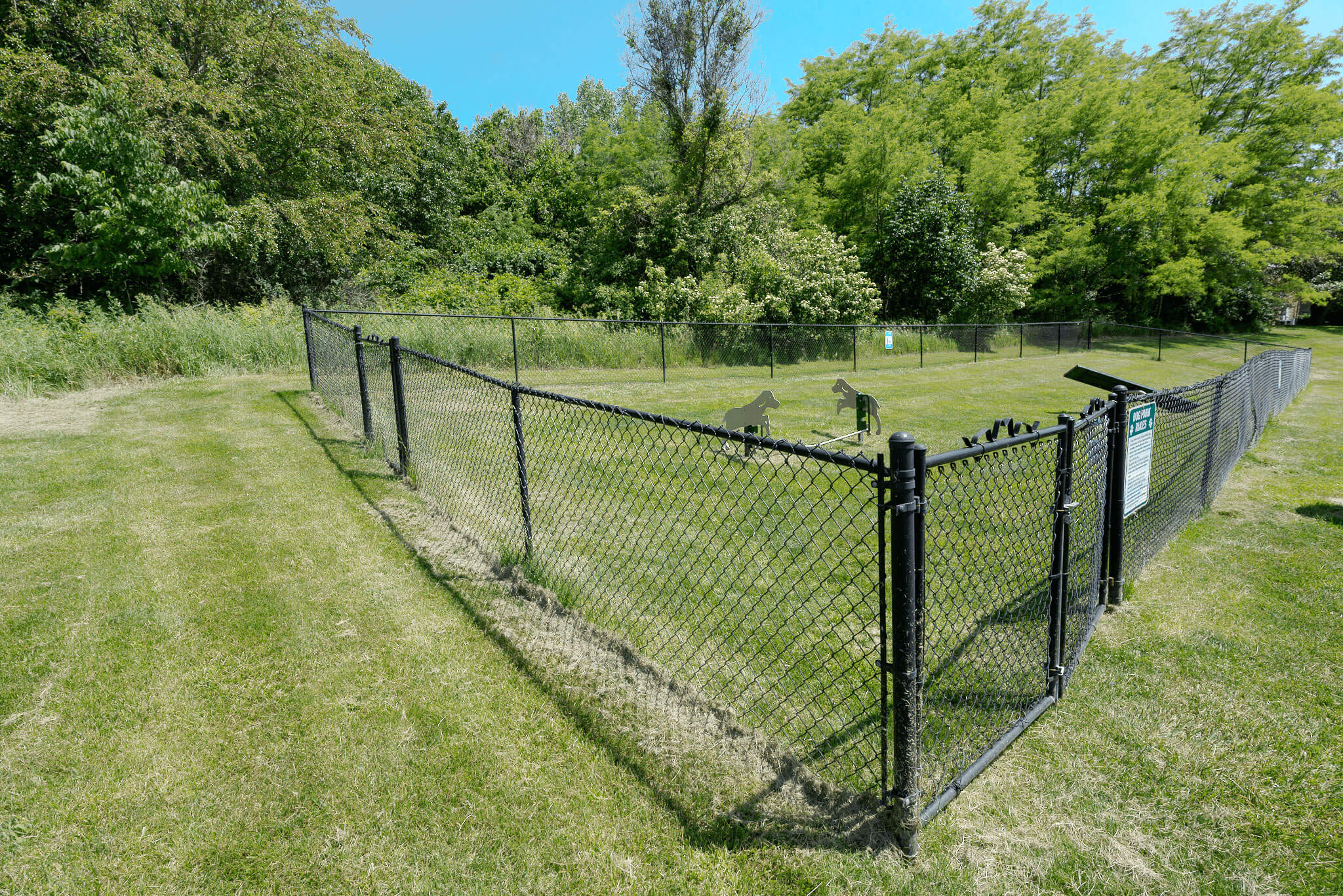 dog park