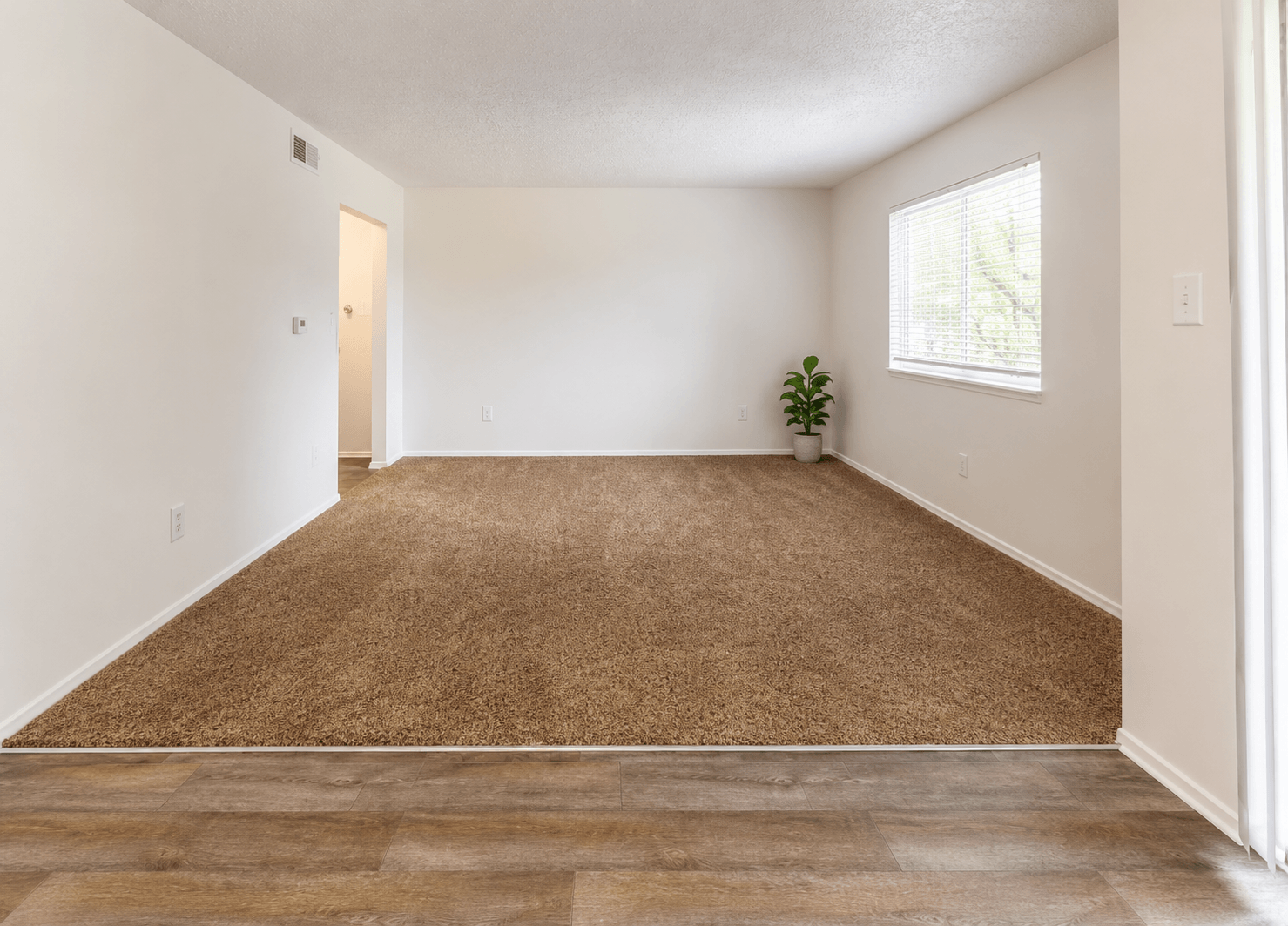 A room with a carpeted floor and a plant in a window.