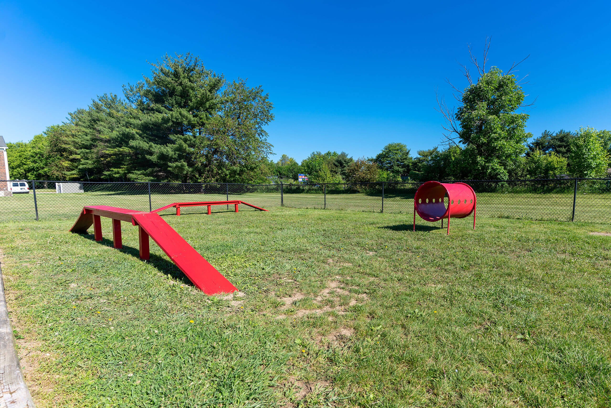 Dog Park
