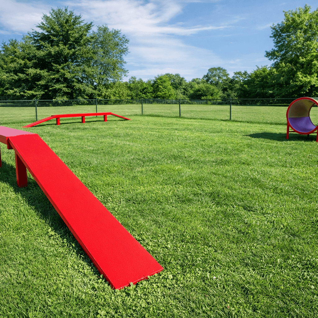 Dog Park
