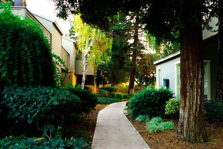 The Redwoods Apartments - Modesto