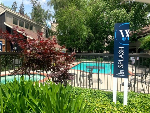 Waters Edge Apartment Pool