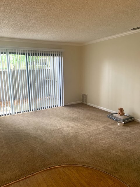 Waters Edge Apartment Interior Living Room
