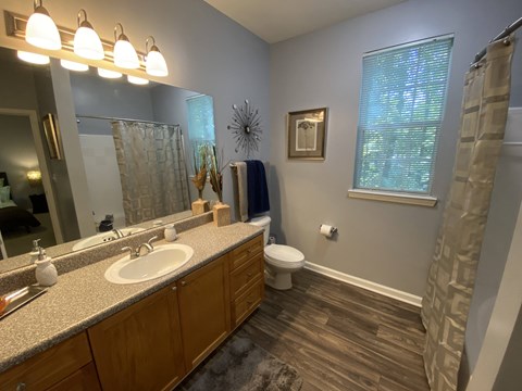 Edgewater Vista Apartments, Decatur Georgia, spacious master bathroom with large vanity