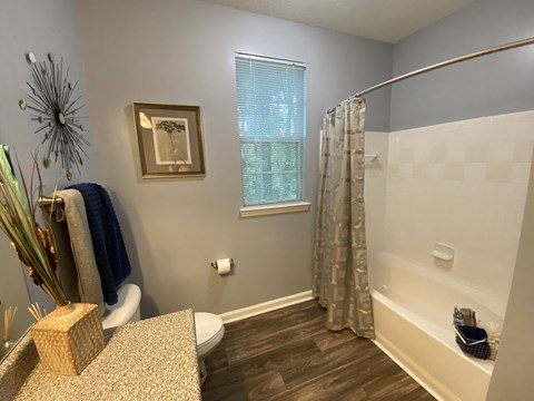 Edgewater Vista Apartments, Decatur Georgia, spacious master bathroom