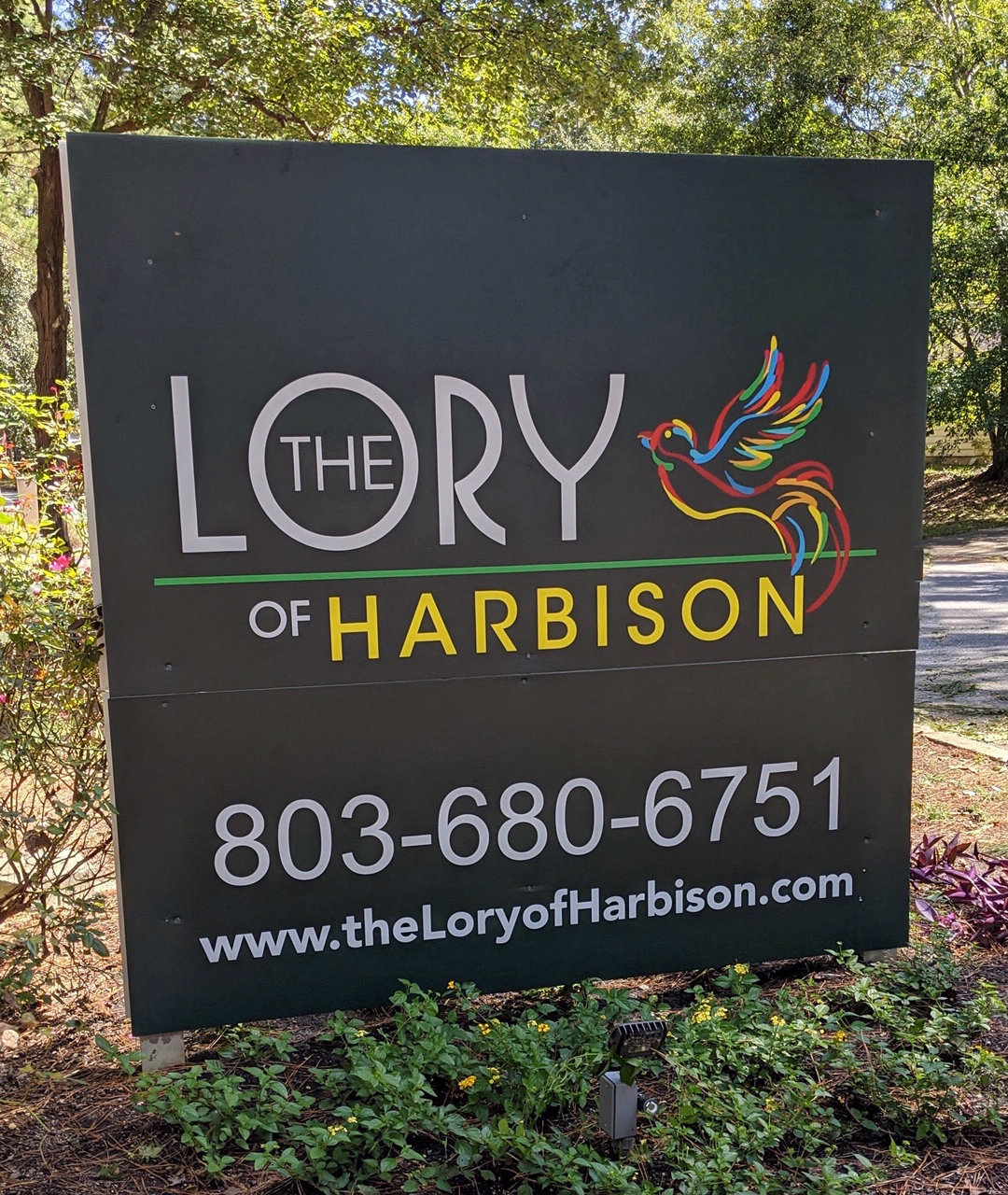 Welcome to Lory of Harbison