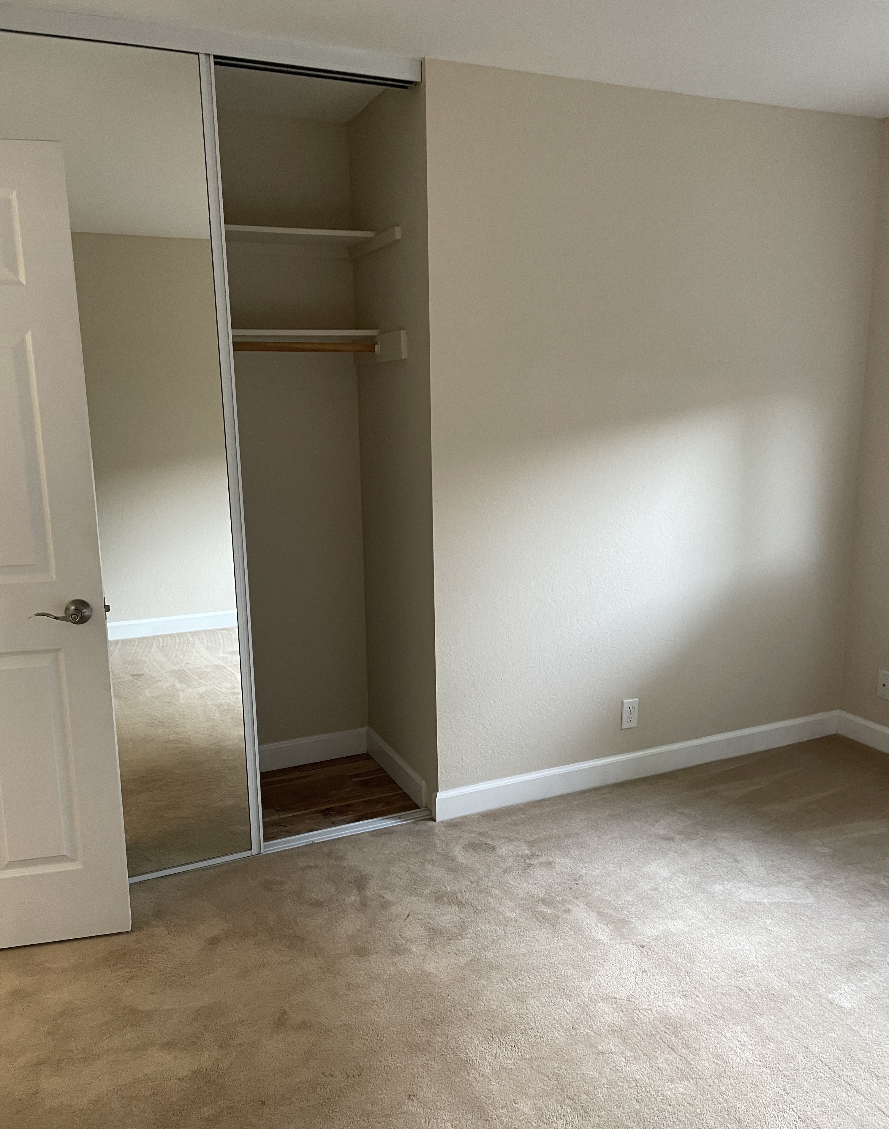 Brookings living room closet
