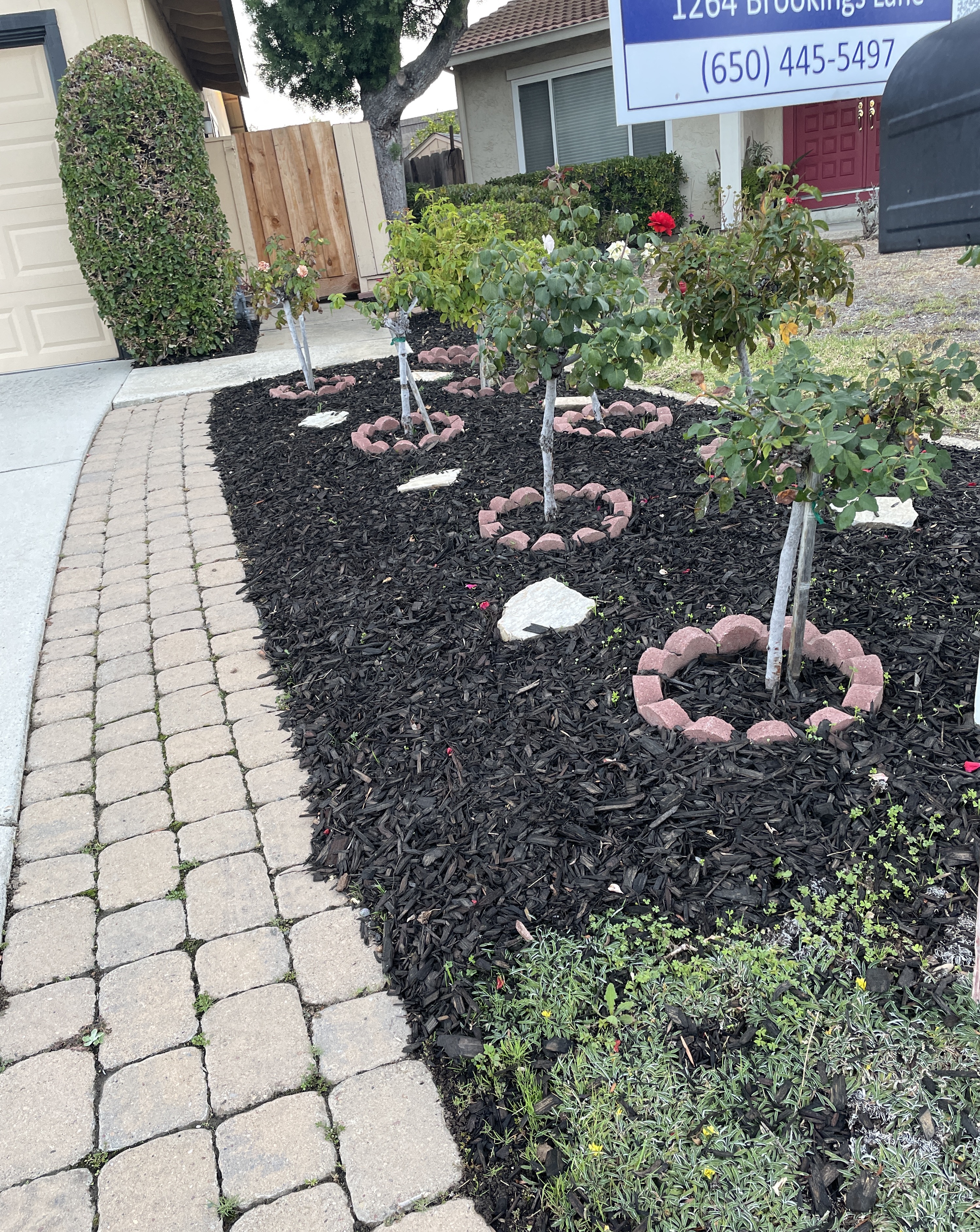 Brookings, side garden