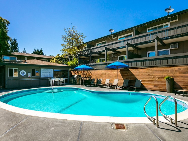 Pool With Sunning Deck at 1038 on Second, Lafayette, California