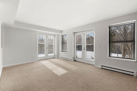 A room with a carpeted floor and a window showing a tree outside.