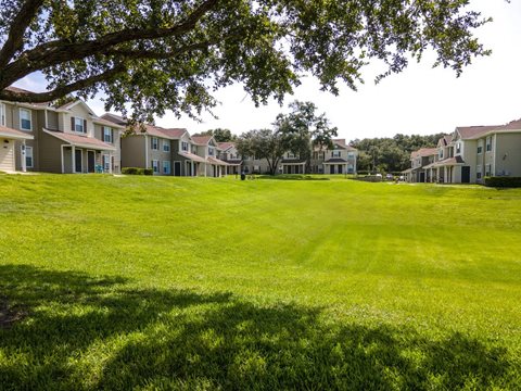 Lots of Green Space