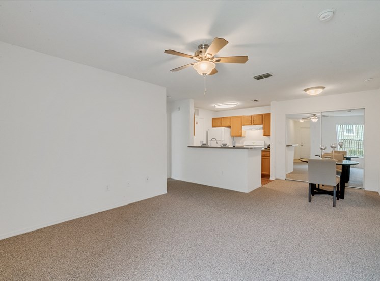 Living Area and Kitchen