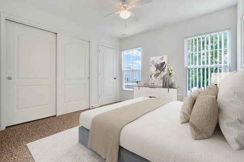 Bedroom with Large Closet