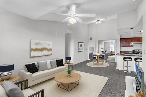 Living and Dining Area