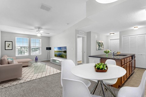 Dining/Living Area