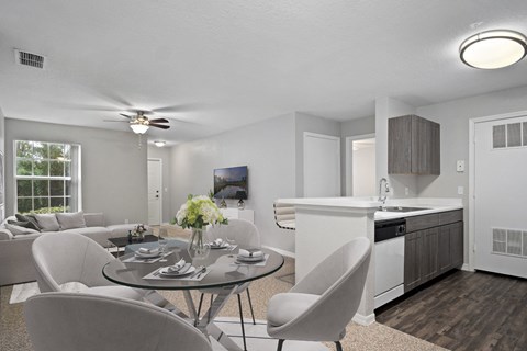 Kitchen and Dining Room