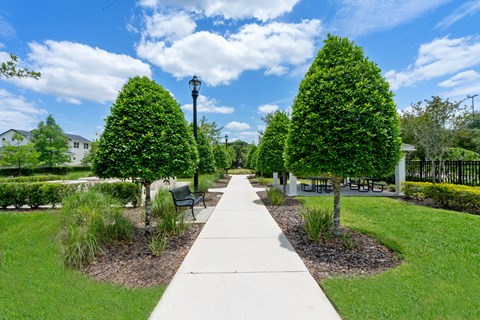 Green Space Garden