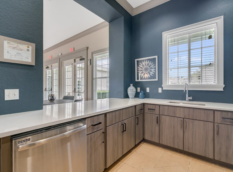 Clubhouse Sink and Dishwasher