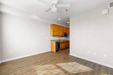 Minimalist Living Room and Kitchen