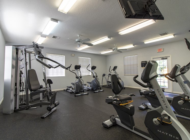 Free Weights And Cardio Equipment