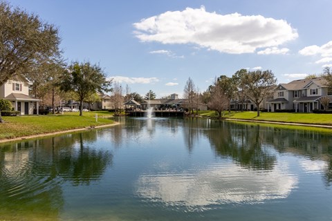 Lake View