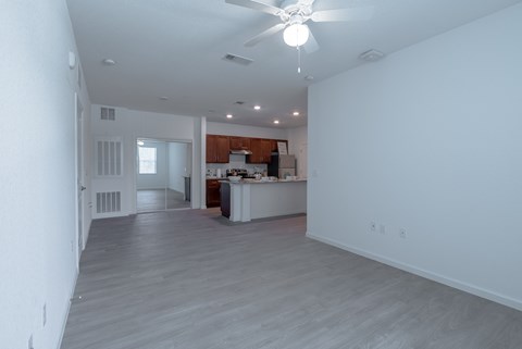 Living Room and Kitchen