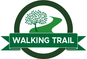 Walking Trails
