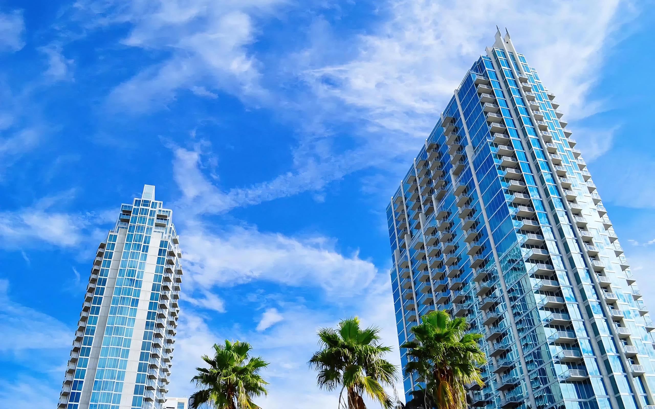 Sunny Day in Tampa Featuring Glass High-Rise Towers with Palm Trees