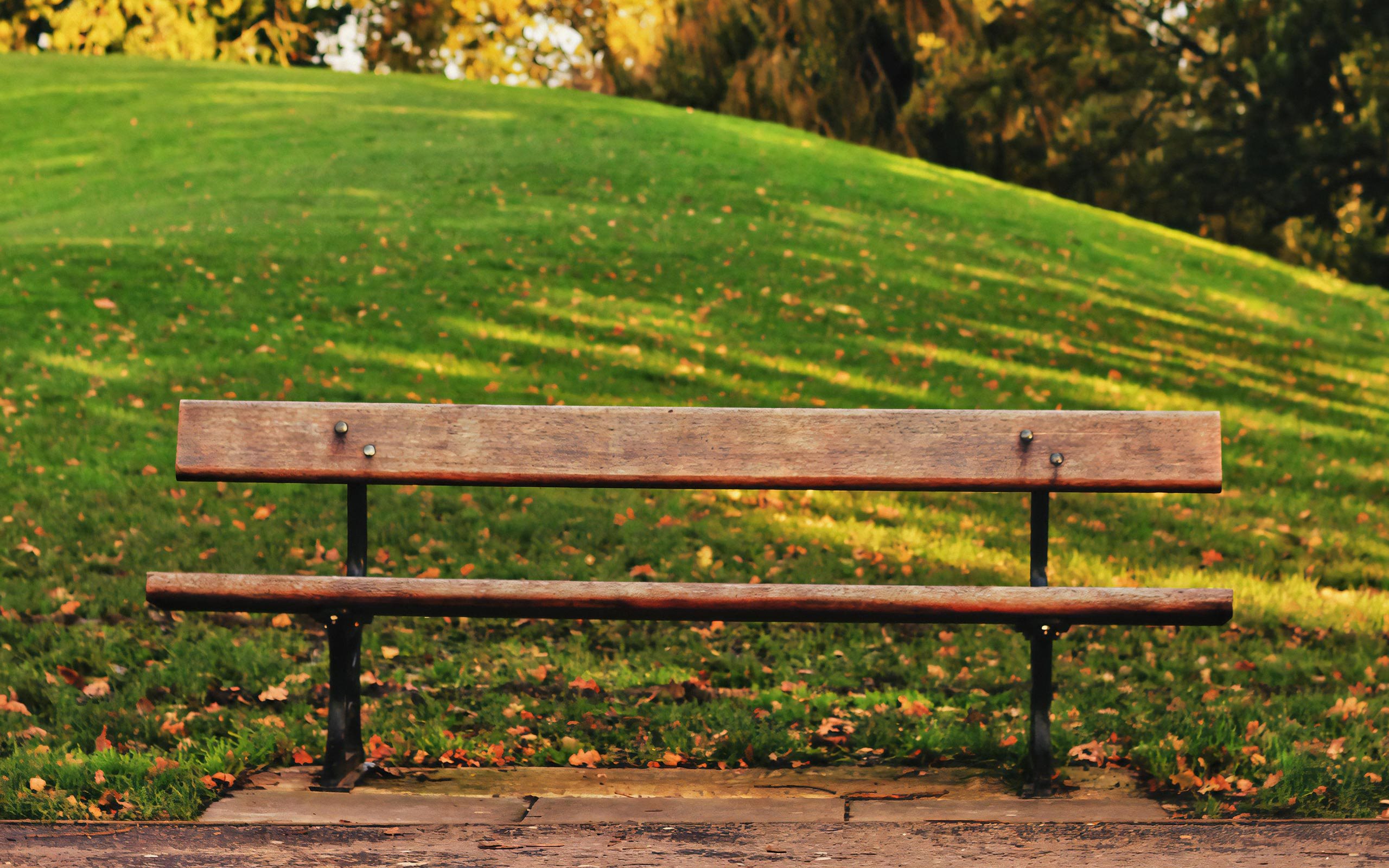 Enjoy Peaceful Moments at a Local Park by The Heights at Chino Hills
