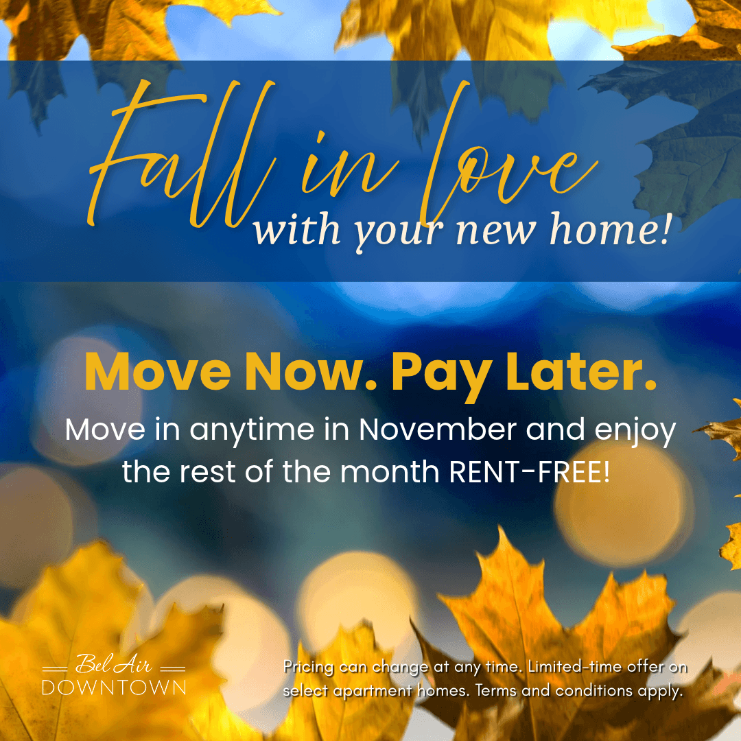 Move In Promotion Banner