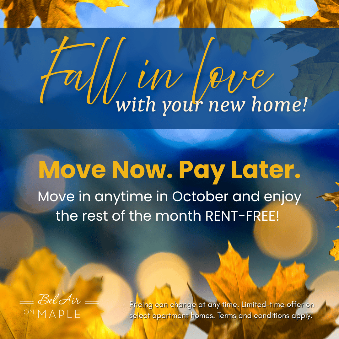 Move In Promotion Banner