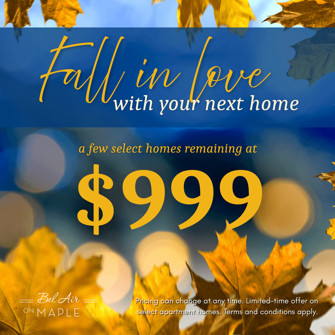 Move In Promotion Banner