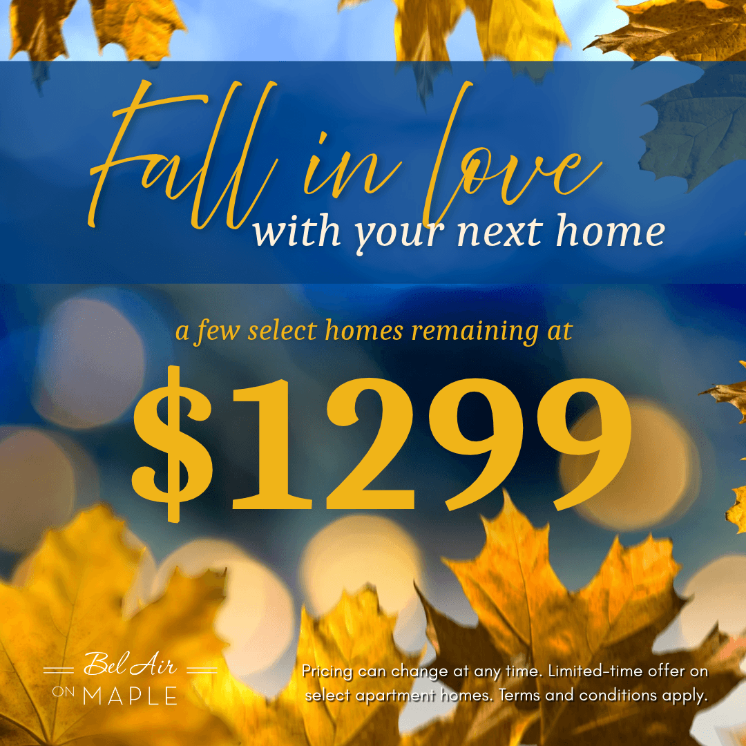 Move In Promotion Banner