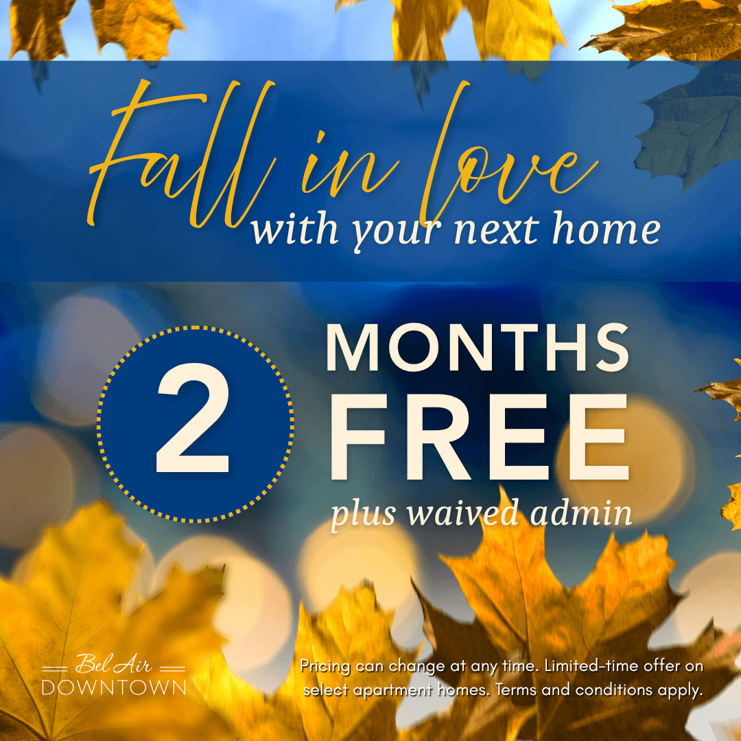 Move In Promotion Banner